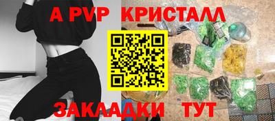шишки Лесосибирск