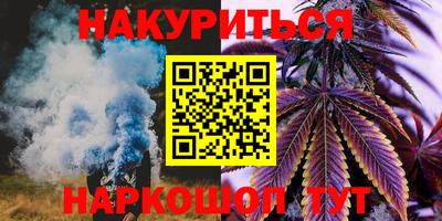 шишки Лесосибирск