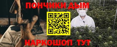 шишки Лесосибирск