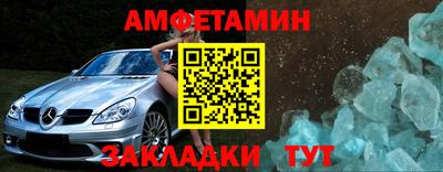 шишки Лесосибирск