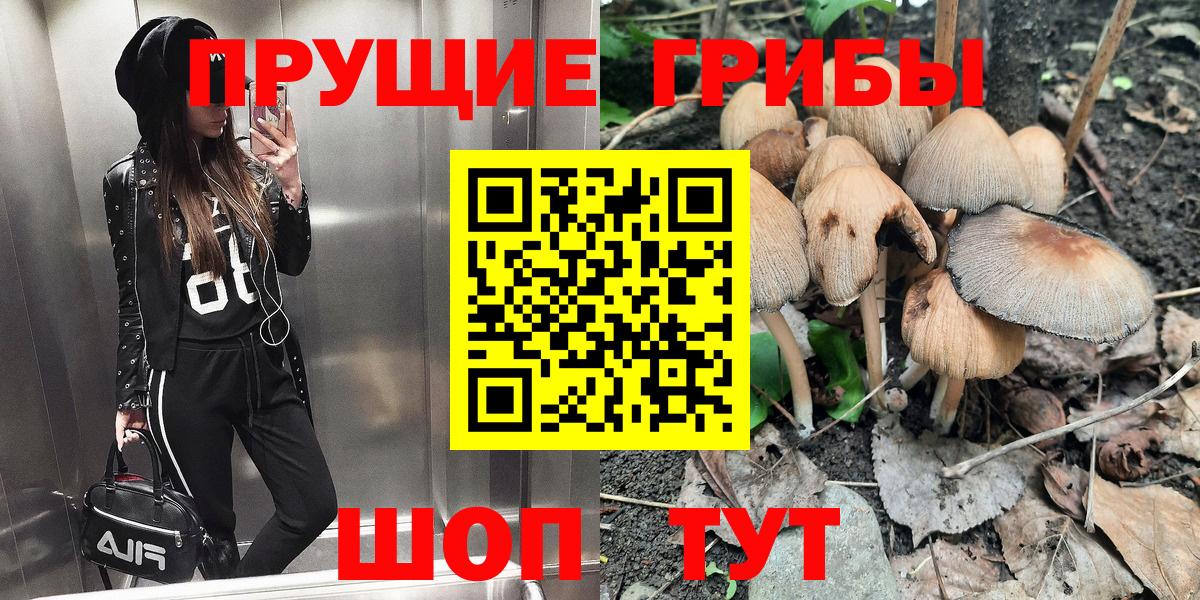 Галлюциногенные грибы Psilocybine cubensis  Вход с VPN  Галлюциногенные грибы Psilocybine cubensis  Добрянка 